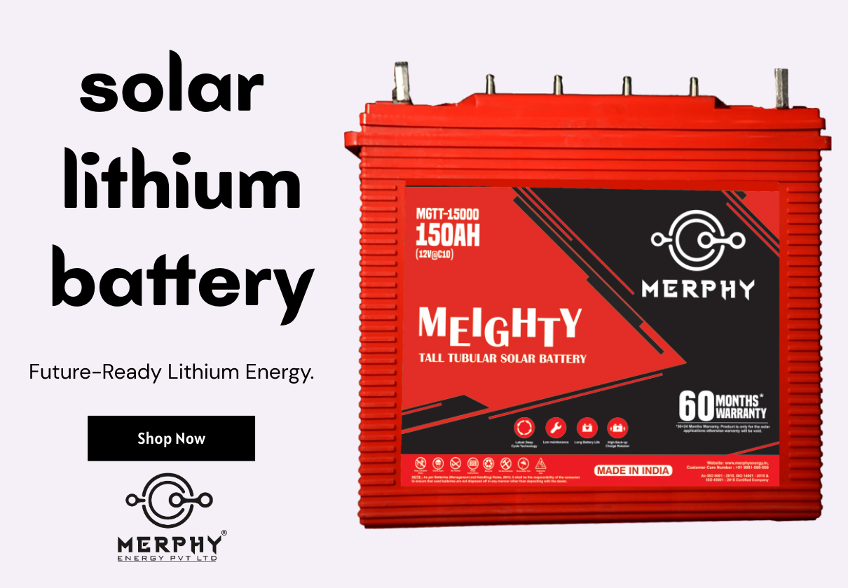 Off Grid Solar Inverter (3)